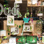 dudi libreria
